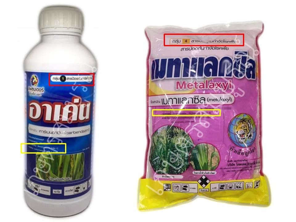 แนะนำสารเคมีป้องกันกำจัดโรคพืช และวิธีการสลับยา(ป้องกันการดื้อยา) -  ร้านเกษตรสมบูรณ์ ราชบุรี